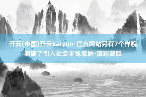 开云(中国)开云kaiyun·官方网站另有7个样貌明确了引入社会本钱意愿-滚球波胆