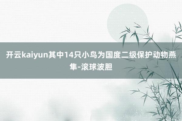 开云kaiyun其中14只小鸟为国度二级保护动物燕隼-滚球波胆