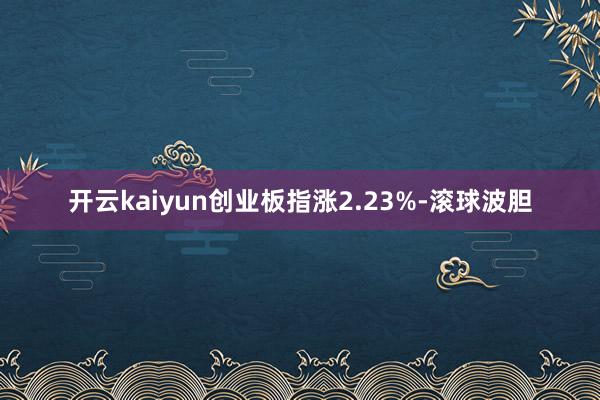 开云kaiyun创业板指涨2.23%-滚球波胆