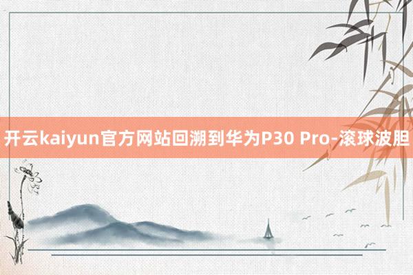 开云kaiyun官方网站回溯到华为P30 Pro-滚球波胆