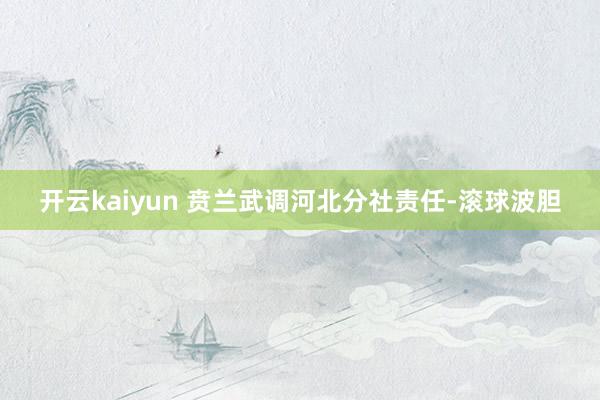 开云kaiyun 贲兰武调河北分社责任-滚球波胆