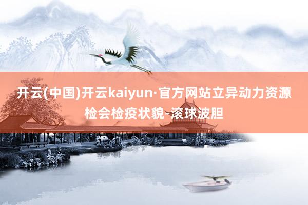 开云(中国)开云kaiyun·官方网站立异动力资源检会检疫状貌-滚球波胆