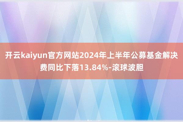 开云kaiyun官方网站2024年上半年公募基金解决费同比下落13.84%-滚球波胆