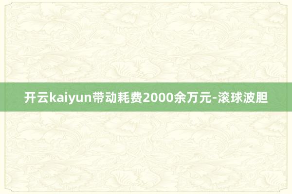 开云kaiyun带动耗费2000余万元-滚球波胆